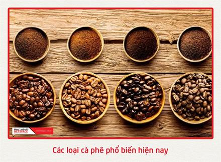 Các loại cà phê phổ biến hiện nay